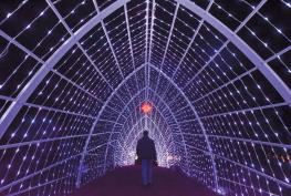 Windsor Great Park Illuminated to return for second year 