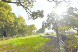 Council aims for 30% of Royal Borough 'managed for nature' in environment strategy