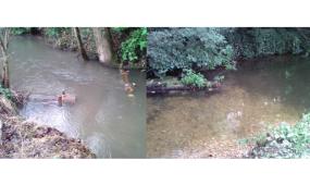 Clewer stream improvements help keep water healthy for wildlife