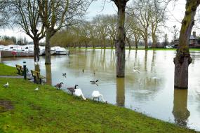 Royal Borough councillor questions delivery of £10m pledge for flood alleviation