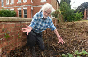 Outcry as park greenery mistakenly 'mown into oblivion' by council contractor