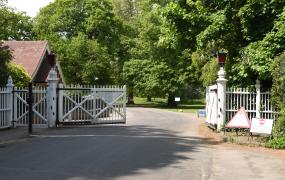 Risk of lethal bacteria in Windsor Great Park pond sees pet owners warned 