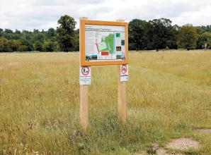 Pilot to make pathways &lsquo;disabled-friendly&rsquo; too &lsquo;Maidenhead-centric&rsquo;, councillor says