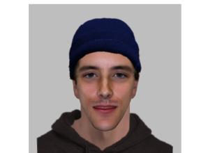 Police looking for man in connection with sexual assault in Dorney