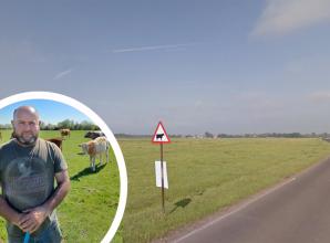 Farmers plead for action amid 'heartbreaking' cow deaths on Dorney Common