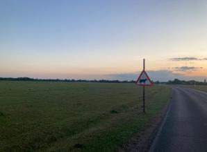 Dorney Common farmer recalls &lsquo;dreaded call&rsquo; to help cow killed after car crash