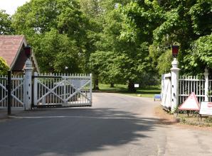 Risk of lethal bacteria in Windsor Great Park pond sees pet owners warned