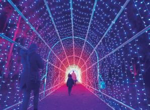 Must-see festive tradition for all ages returns to Windsor Great Park