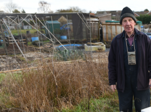 Concerns over allotment plots left neglected despite long waiting lists