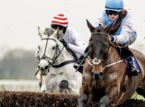 Live racing and countryside entertainment as Berkshire Winter Millions returns