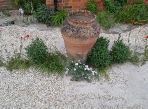 Couple left out of pocket as sewage spill ‘ruins’ garden