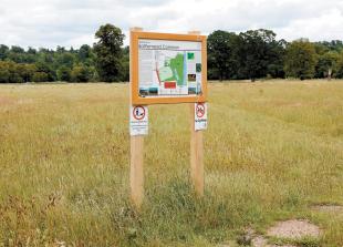 Pilot to make pathways &lsquo;disabled-friendly&rsquo; too &lsquo;Maidenhead-centric&rsquo;, councillor says