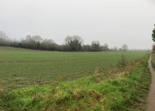 Greenbelt consultation