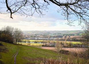 Renewed calls to resist greybelt ‘threat’ to Royal Borough countryside