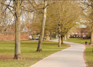 Higginson Park reports £13,000 loss as asset values fall