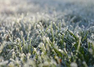 Ice warning for the South East announced