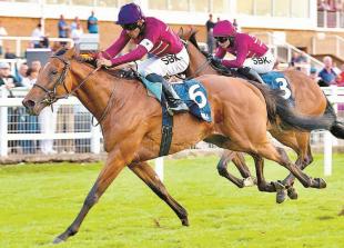 Sanitiser and Danville finish first and second for London & The South