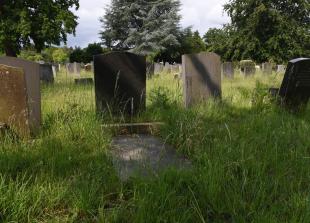 Advertiser review of the year: June