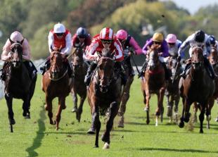 Hilitany hits top gear again at Windsor Races