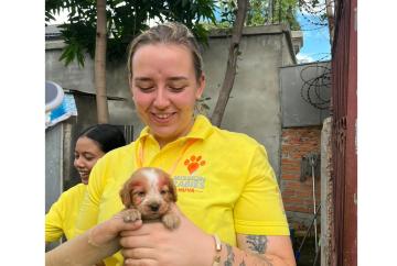 Dogs in Cambodia bite back against rabies with help of Windsor canine carer