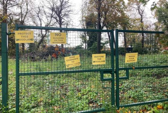 Woodland subject to &lsquo;chainsaw massacre&rsquo; can become new homes after inspector u-turn