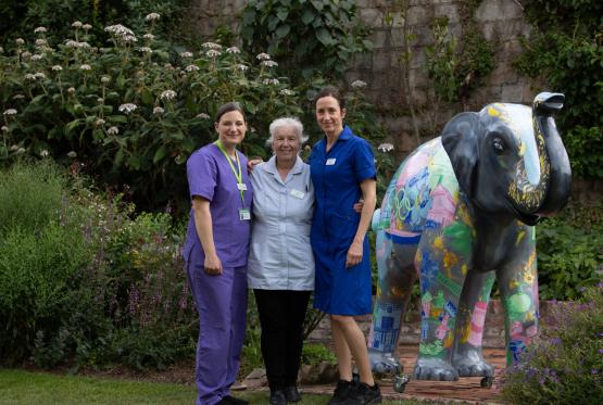 Shanly Homes and Sorbon Estates take part in Thames Hospice initiative