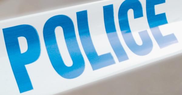 Crime round-up: Thieves try to grab delivery moped