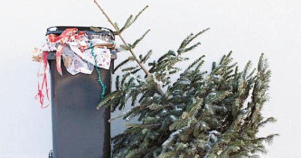 Windsor charities join forces for Christmas tree recycling service