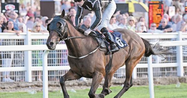 It's How We Roll ridden by Dylan Hogan enjoys another Windsor win