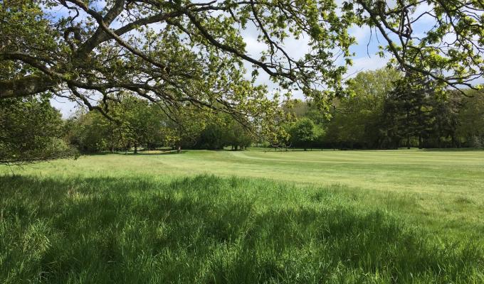 Maidenhead Golf Course. Photo by Debbie Ludford.