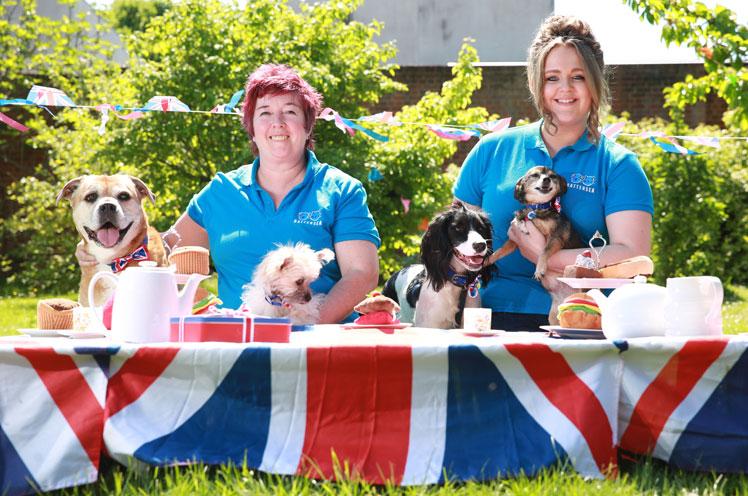 In pictures: Battersea Dogs and Cats Home holds Royal Wedding street