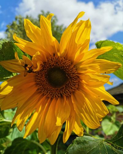 Tamsin Westhorpe's winning photograph