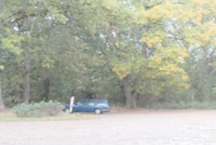 Walker calls for an end to 'dogging' at Maidenhead Thicket