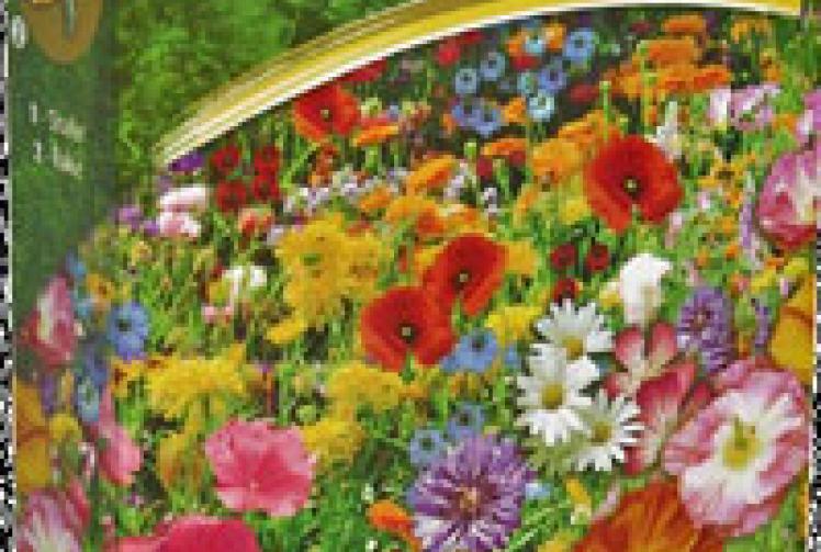 Free wild flower seeds worth £2.99 Windsor Express
