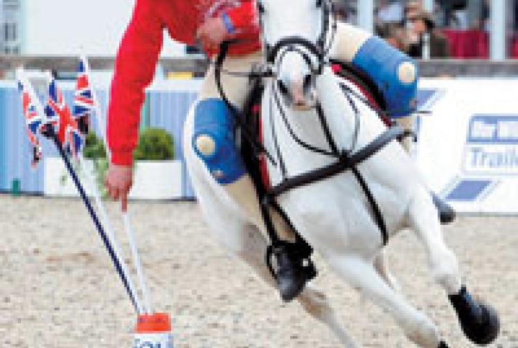 Record entries for anniversary horse show Windsor Express