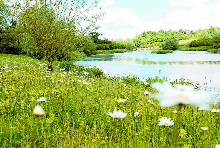 Chance to give views on Taplow Neighbourhood Area declaration 
