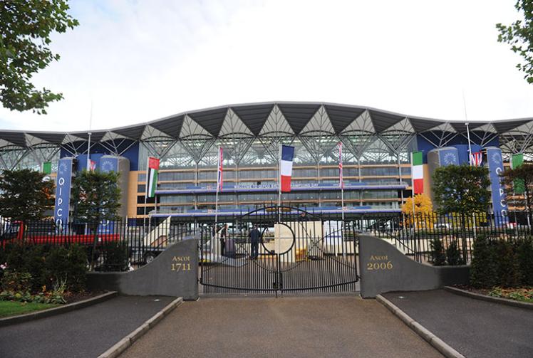 Aircraft makes emergency landing at Ascot Racecourse