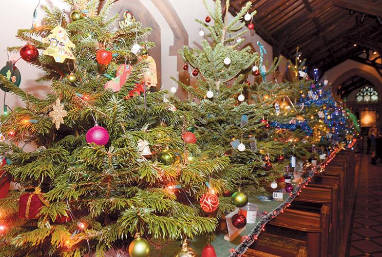 Where to recycle your Christmas tree in the Royal Borough
