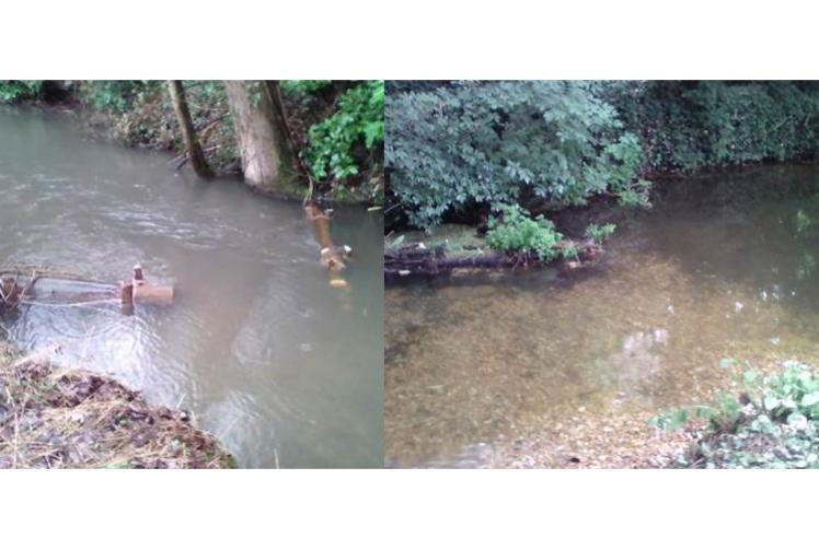 Clewer stream improvements help keep water healthy for wildlife