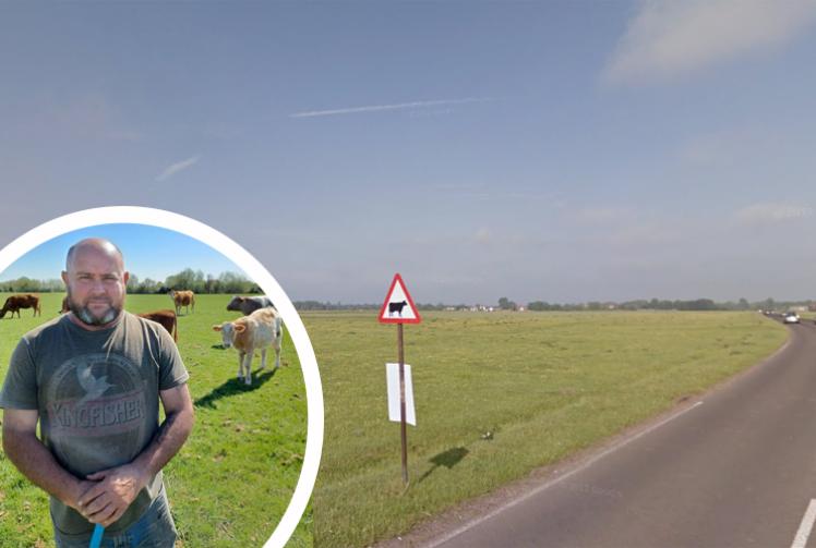 Farmers plead for action amid 'heartbreaking' cow deaths on Dorney Common