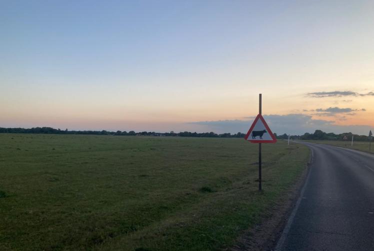 Dorney Common farmer recalls &lsquo;dreaded call&rsquo; to help cow killed after car crash 