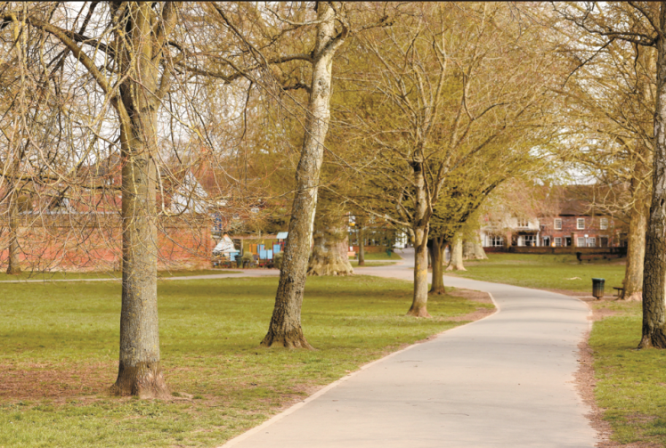 Higginson Park reports £13,000 loss as asset values fall