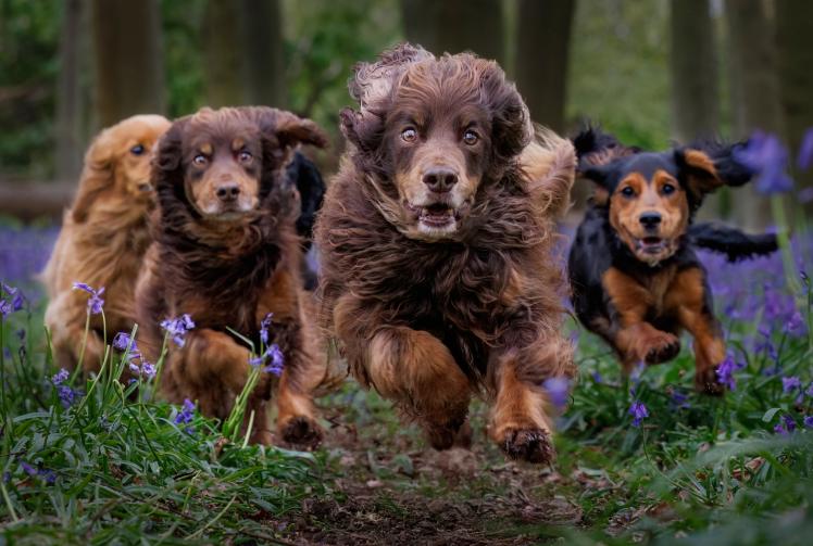 Photography by Louise Farrell