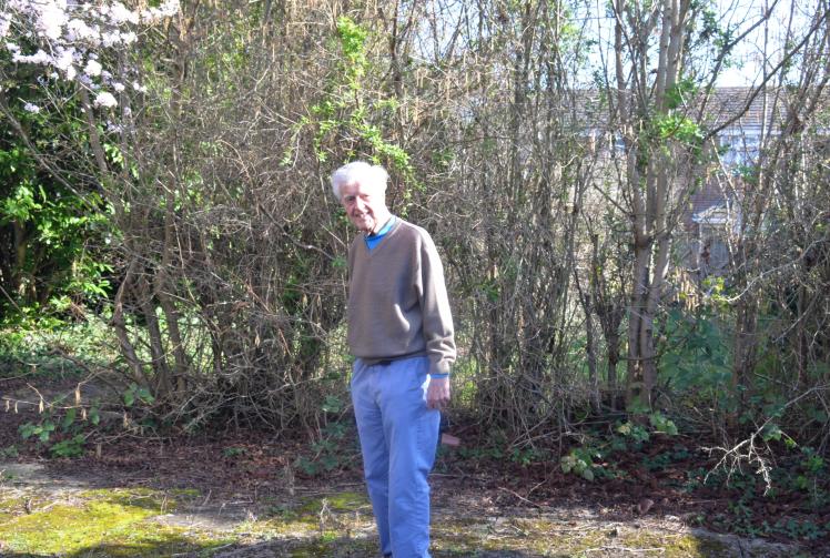 Volunteer gardener upset outdoor area is left like &lsquo;jungle&rsquo;