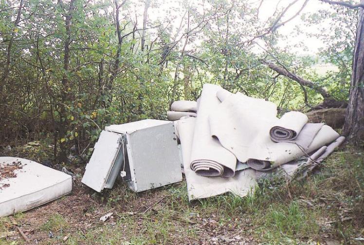 Dumped carpet waste leads to more than £2,000 fine Photo 1 of 1