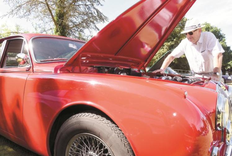 Thousands flock to Hurst Show and Country Fayre