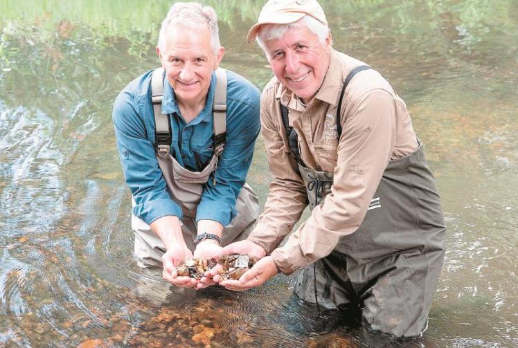 Big Fish Column: Anglers celebrate first phase of £65,000 River Loddon restoration scheme