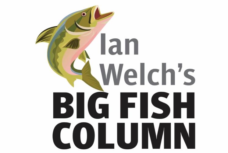 Hardly a vintage autumn for anglers but the signs are positive
