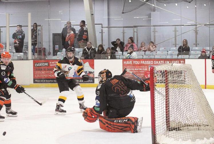 Bees find form and consistency ahead of double header with Telford Tigers
