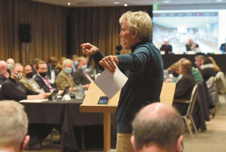 Councillors vote to adopt Borough Local Plan in fiery meeting